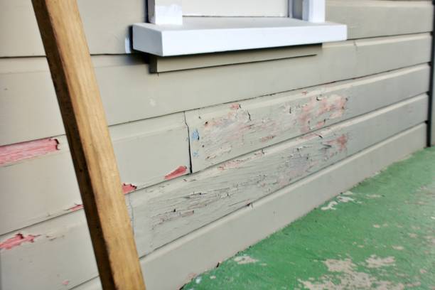 Best Siding Maintenance  in USA